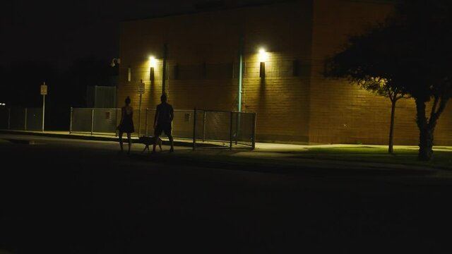 Couple Walking The Dog Together In The Park At Night - Wide Shot