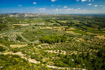 Fototapeta na wymiar Olive plantation and Les Alpilles mountains near Les Baux-de-Provence village in Provence, France