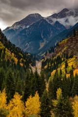 landscape in the mountains