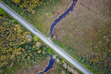 Aerial view from drone of concrete road intersecting little blue river among autumn pine, foliage forests, bogs in yellow green gold colors. Treetops in golden time and empty highway in fall season