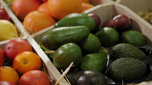 Close-up of an avocado in a hay box in a grocery store, next to Sicilian oranges and other various exotic fruits.
