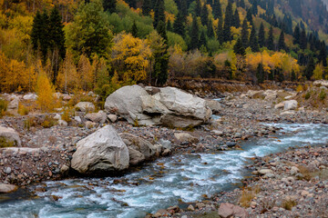 mountain stream in autumn forest