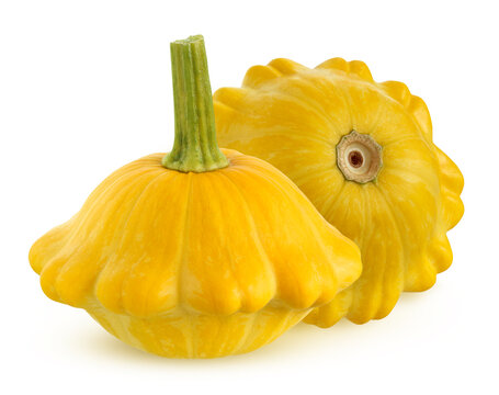 yellow pattison isolated on a white background