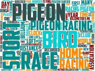 racing pigeons typography, wordcloud, wordart,