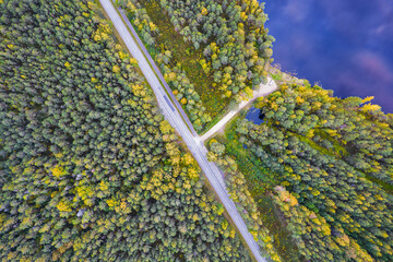 Aerial view from drone of concrete road passing by blue deep lake among autumn pine, foliage forests in yellow green gold colors. Treetops in golden time and empty highway in fall season in mountains