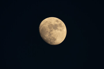 Moonlight yellow gold in the night time.Night landscape and space background.The moon in dark sky at midnight.Beautiful fantasy nature landscape at night scene background.