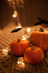 halloween pumpkin on a cozy blanket as home decor with lights