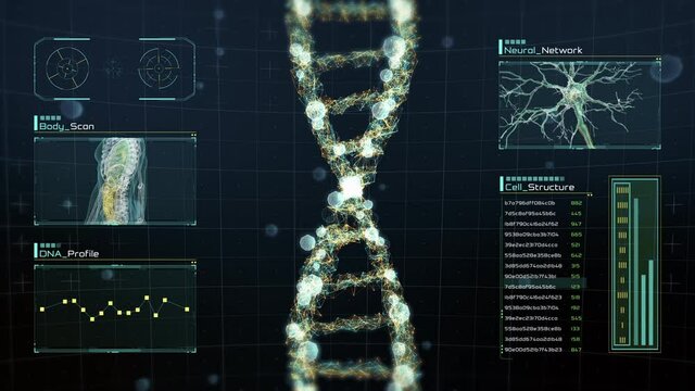 Rotating digital DNA strand on futuristic display with infographics, charts and graphs. Analysis of DNA amino acids, molecules, neuronal activity and genes for medical research and science.