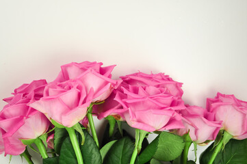 Bouquet of pink roses on white background copy space