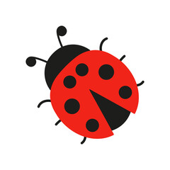 Ladybug cute icon. Ladybird insect character. Vector isolated on white	