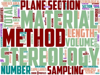 stereology typography, wordart, wordcloud, stereological,yokohama,minato,mirai