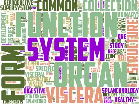 splanchnology typography, wordart, wordcloud, organ,anatomy,symbol,heart