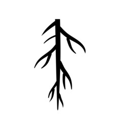 Root. Underground part of plant. Black icon.