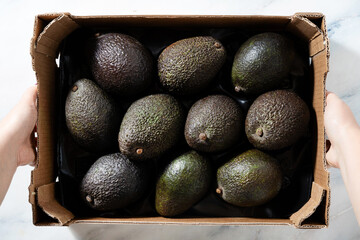 a box of avocado on the table