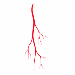 Human red vein. Vessel, capillaries, arteries, eye vein. Blood system. Concept anatomy element for medical science. Vector illustration