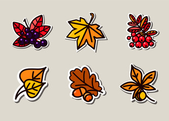Fototapeta na wymiar Bright autumn leaves and ripe berries. Illustrations can be used as packaging labels for shipping, badging, and garment decoration.