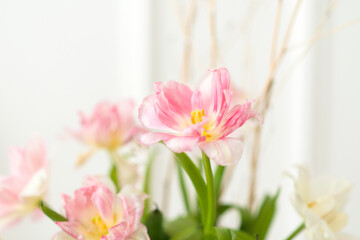 Obraz na płótnie Canvas Fresh pink flowers in a bright room