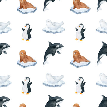 Winter animals seamless patterns, watercolor ocean background, arctic north illustration, whale, penguin scrapbooking paper, hand drawn sea wildlife
