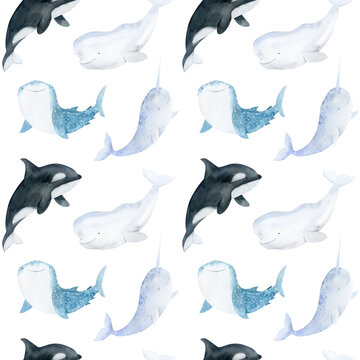 Underwater sea animal seamless patterns. Watercolor deep blue ocean, orca whale, shark whale, beluga, narwhal. Sea hand drawn background