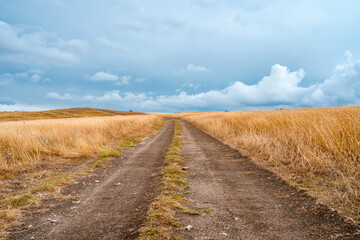 Fototapeta na wymiar Landscape view of a path through a dry savanna against a cloudy sky