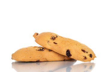 Two homemade shortbread cookies with raisins, close-up, isolated on white.