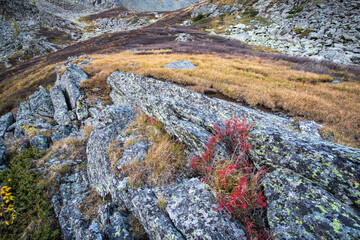 rock in the mountains