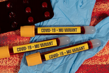 vacuum tube with blood sample for covid-19 Mu variant test