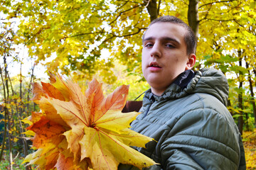 A young autistic guy holds yellow maple leaves in his hands