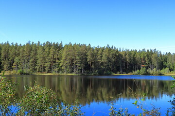 Obraz premium National reserve park at Tiveden. Clear calm water at a small lake outdoors. Swedish nature during the summer. Beautiful view. Sweden, Scandinavia, Europe.
