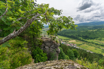 Carpathian mountains range, Calimani Romania Transylvania. Pines and cliffs.