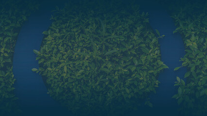 Naklejka na ściany i meble Green leaves pattern background, Natural background and wallpaper. in Phuket Thailand.
