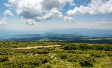 Fototapeta na wymiar Carpathian mountains range, Calimani Romania Transylvania. Pines and cliffs.