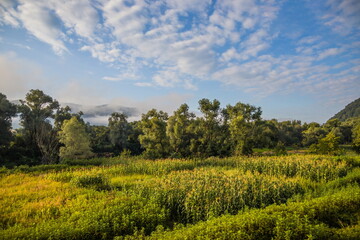 Mountain valley during sunrise. Natural summer landscape. View from the train window to the mountains in the fog. Fields and vegetable gardens
