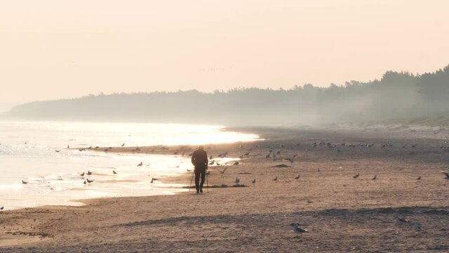 Active senior walking with nordic walking poles. Elderly man walking by the sea alone in the sunrise. Senior walking along the shore of the beach