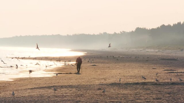 Active senior walking with nordic walking poles. Elderly man walking by the sea alone in the sunrise. Senior walking along the shore of the beach
