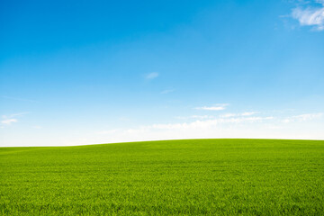Green meadows with blue sky and clouds background