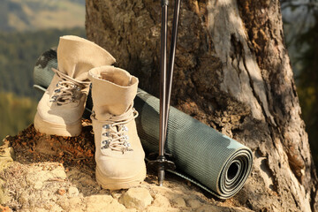 Trekking poles, mat and hiking boots near tree in wilderness on sunny day
