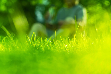 Green grass with a person out focus on background