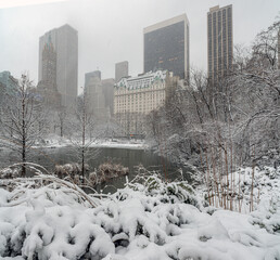 Central Park in winter  snow storm