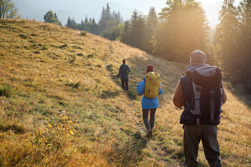 Fototapeta premium Tourists with backpacks hiking in mountains on sunny day, back view