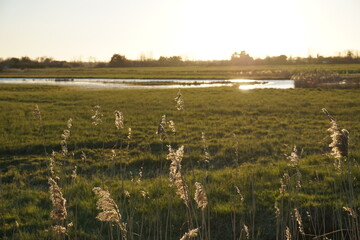 Couché de soleil