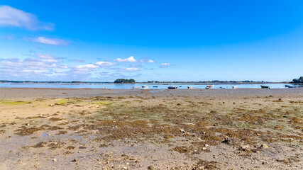 Brittany, Ile aux Moines island in the Morbihan gulf, the Port-Miquel beach in summer
