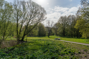 Trees and paths in Rembrandtpark in Amsterdam, a large park in the west of the city.