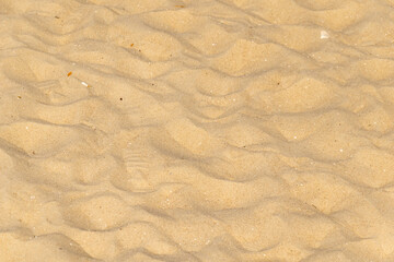 Fototapeta na wymiar yellow sea sand with visible details. background or texture