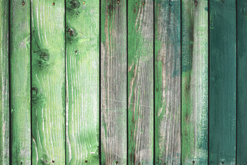 Fototapeta na wymiar Old wooden grunge board painted in different shades of green color. Natural texture. Can be used like nature background
