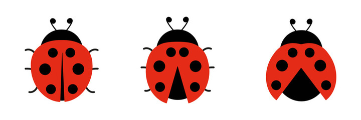 Ladybugs cute characters set. Ladybirds insects flying with open wings. Vector isolated on white © Віталій Баріда