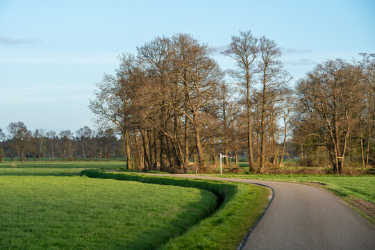 Trees along road near Loenen (The Netherlands) at edge of Veluwe and IJsselvallei