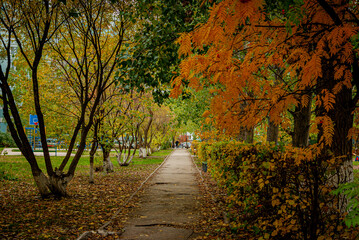 A beautiful autumn day in the city!
