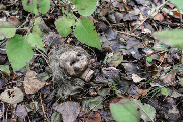 dirty torn off doll head lying on the ground in the woods