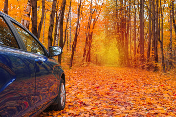 a blue car on an autumn road in the park, a tire on leaves, a travel concept